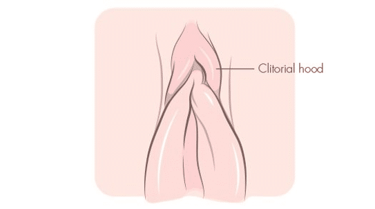 Under klitoris ’hætten’