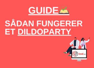 sådan fungerer et dildoparty