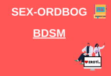 Hvad er BDSM
