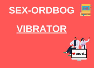 vibrator