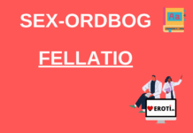 fellatio