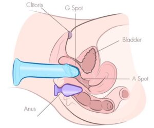 sådan onanerer du med en dildo dobbel penetrering