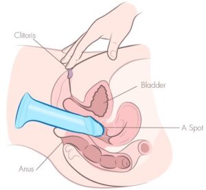 sådan onanerer du med en dildo klitoris stimulering