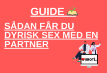 sådan får du dyrisk sex med en partner