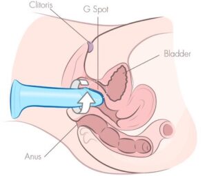 sådan onanerer du med en dildo drej den rundt