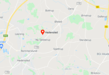 Hedensted sexshop
