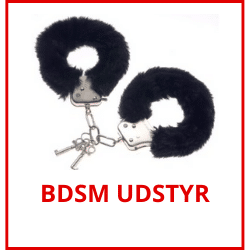 BDSM udstyr